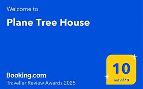 Plane Tree House